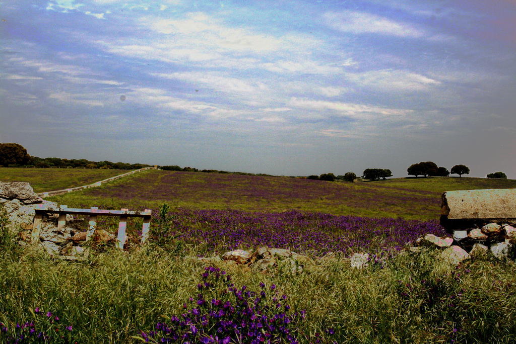 Casa Rural La Cuadraa Linares de Riofrío Zimmer foto